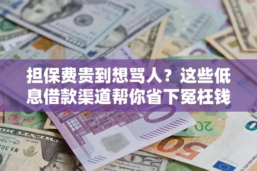 济南担保费贵到想骂人？这些低息借款渠道帮你省下冤枉钱