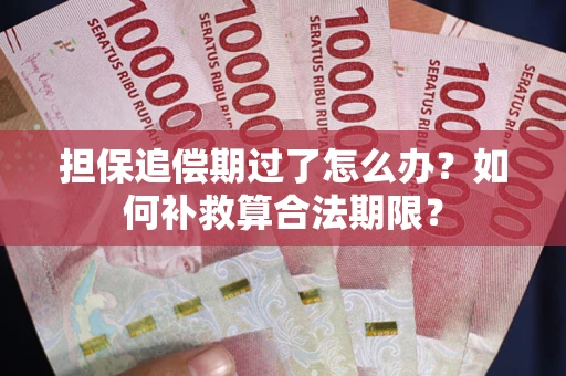 济南担保追偿期过了怎么办？如何补救算合法期限？