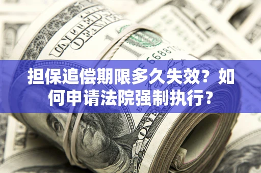 济南担保追偿期限多久失效？如何申请法院强制执行？