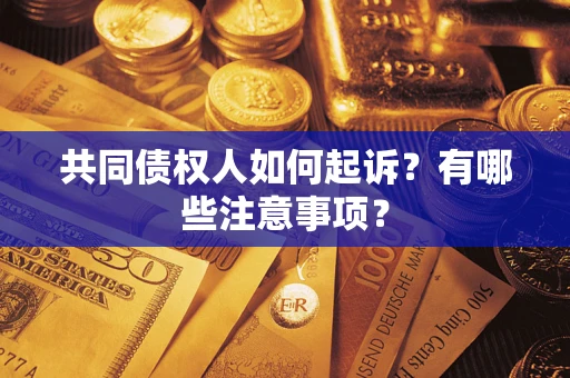 济南共同债权人如何起诉？有哪些注意事项？
